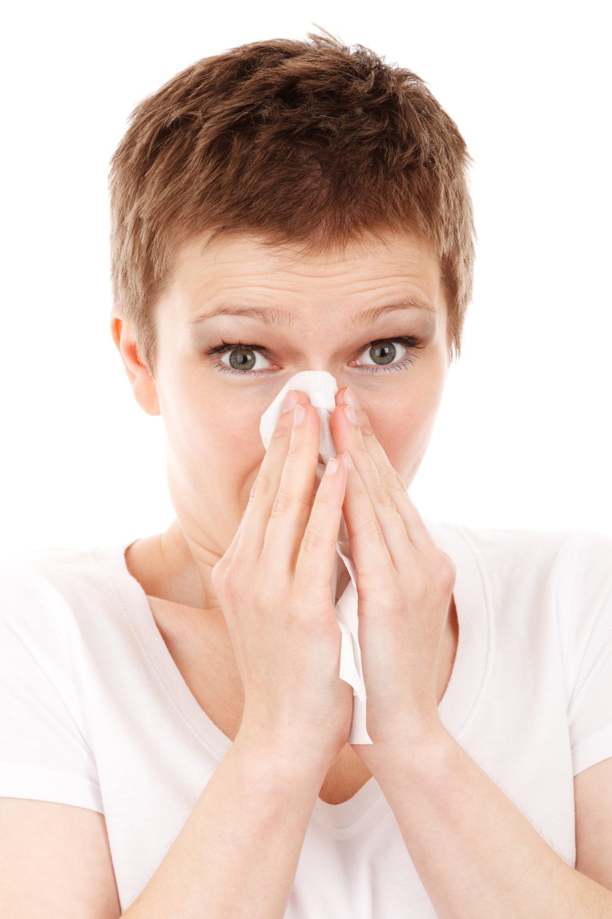 Will probiotics and prebiotics have a role in treating allergies in the future?