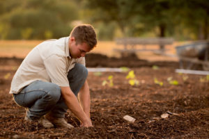 A farmer planting crops