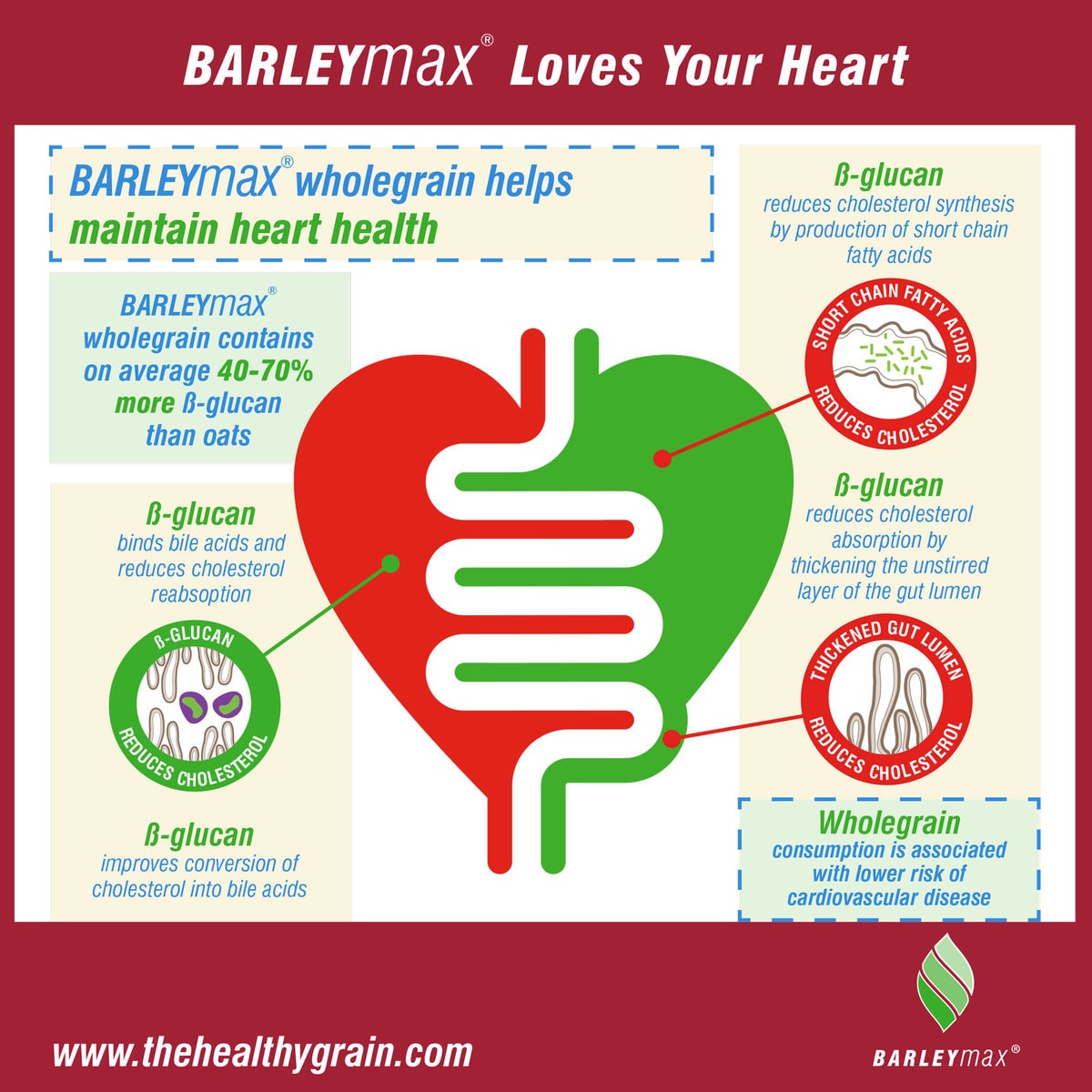 Infographic - BARLEYmax loves your heart
