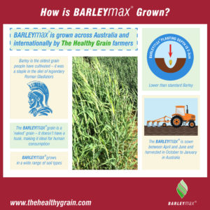 Infographic - How is BARLEYmax grown